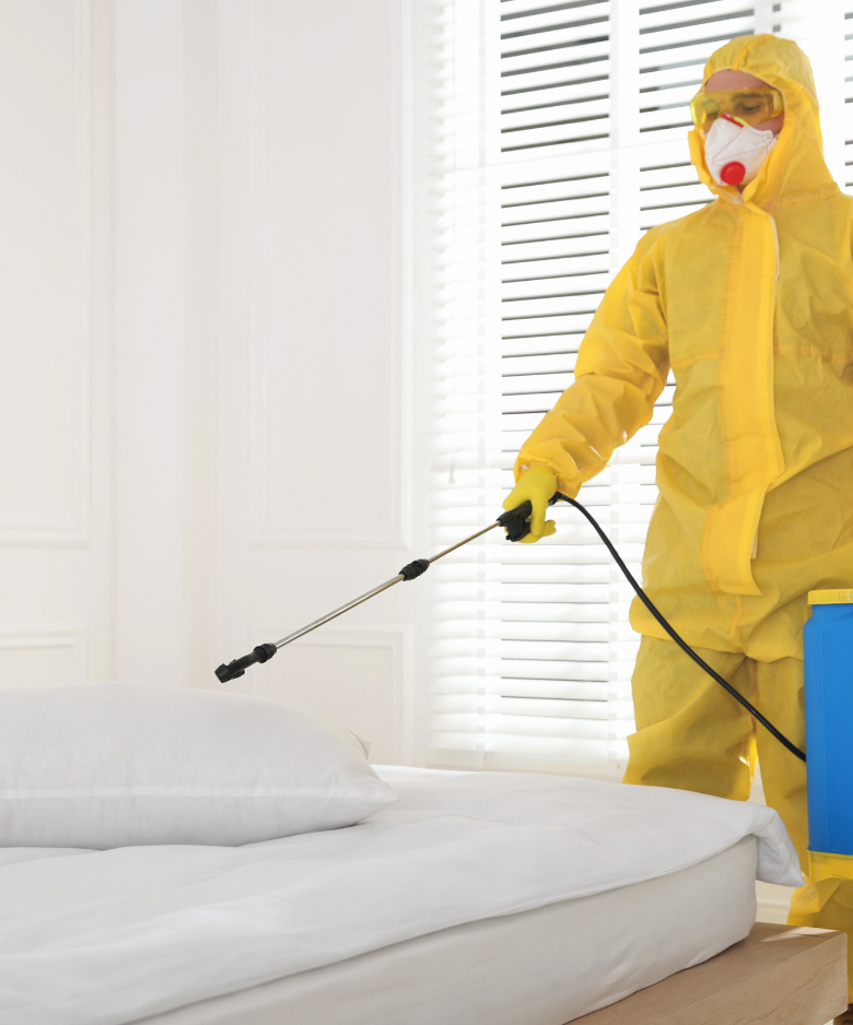 Professional Pest Control Team in Ethelton